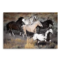 High Prairie Run Canvas Giclee
