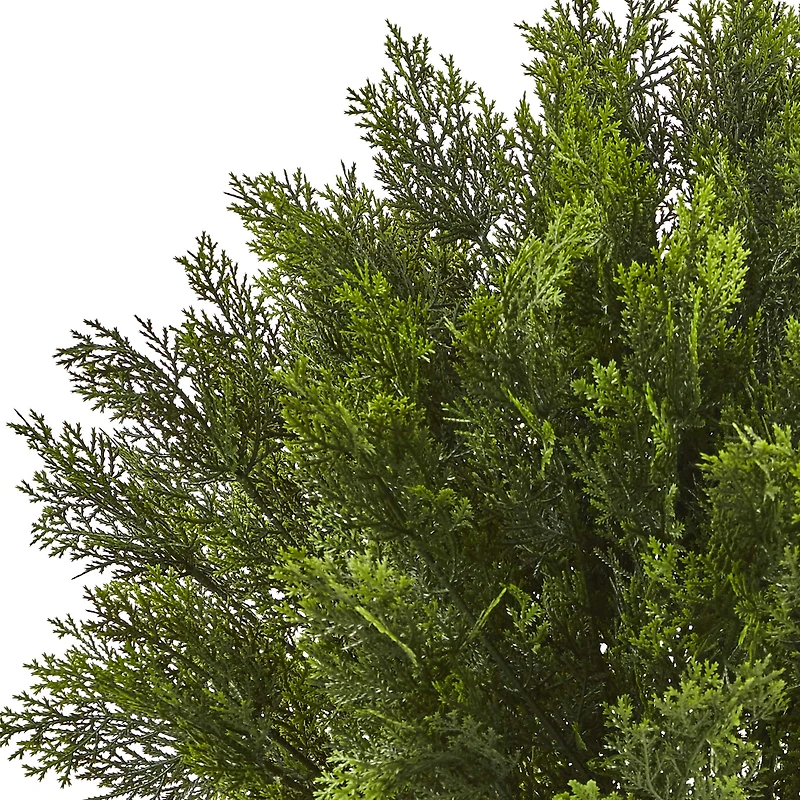 3ft. Potted Cedar Bush