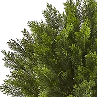 3ft. Potted Cedar Bush