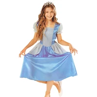 Blue & Silver Princess Girl Costume