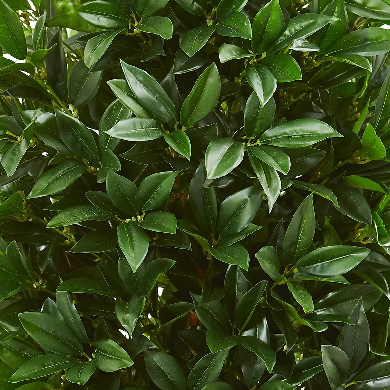 4.5ft. Bay Leaf Topiary Tree in Terra Cotta Planter