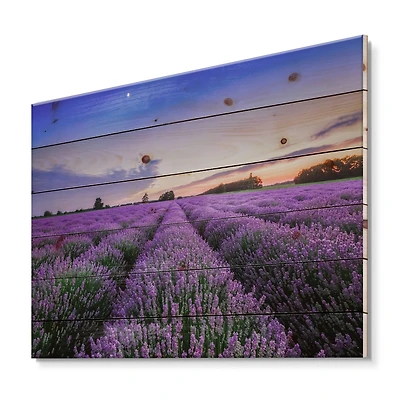 Designart - Sunrise & Dramatic Clouds Over Lavender Field II