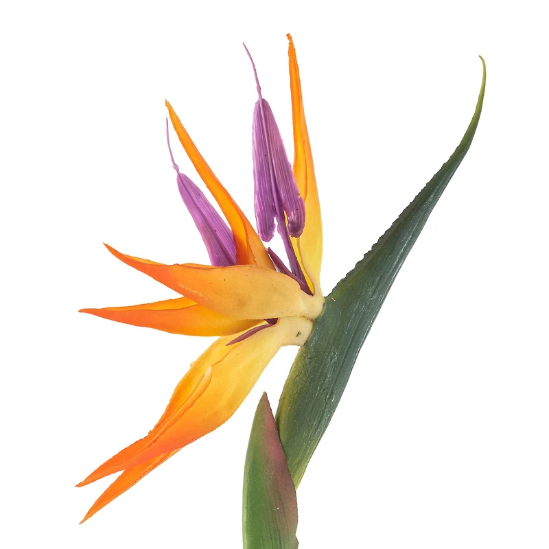 Tropical Bird of Paradise Stem by Ashland® 