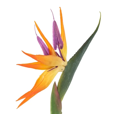 Tropical Bird of Paradise Stem by Ashland® 