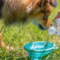 FFD PET Silicone Travel Bowl for Dogs & Cats