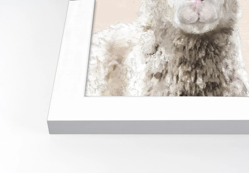 Creamy Floral Sheep White Framed Print Under Plexiglass