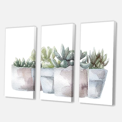 Designart - Cactus and Succulent House Plants III