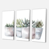 Designart - Cactus and Succulent House Plants III