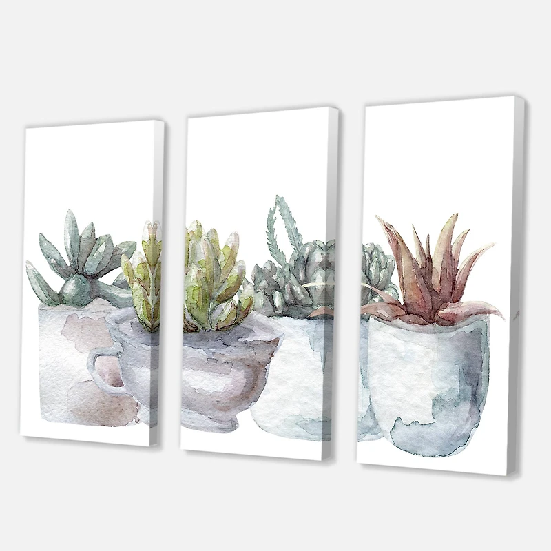 Designart - Cactus and Succulent House Plants IV