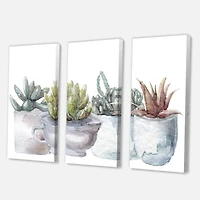 Designart - Cactus and Succulent House Plants IV