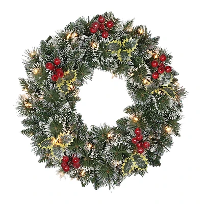 24" Pre-Lit Snowy Silverton Pine Wreath