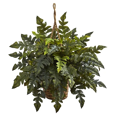 2ft. Holly Fern Hanging Basket