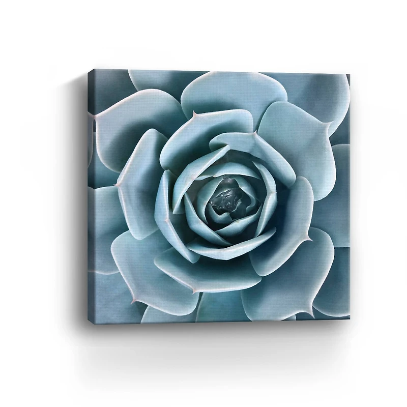 Lumaprints After the Rain Canvas Giclée Wall Art