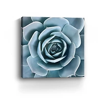 Lumaprints After the Rain Canvas Giclée Wall Art