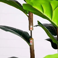 8ft. Artificial Fiddle Leaf Tree in Decorative White Planter