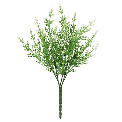 14" Berry Bush by Ashland