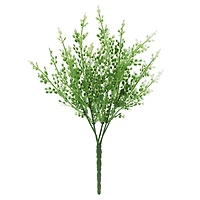 14" Berry Bush by Ashland