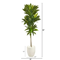 5ft. Potted Dracaena Plant in White Planter