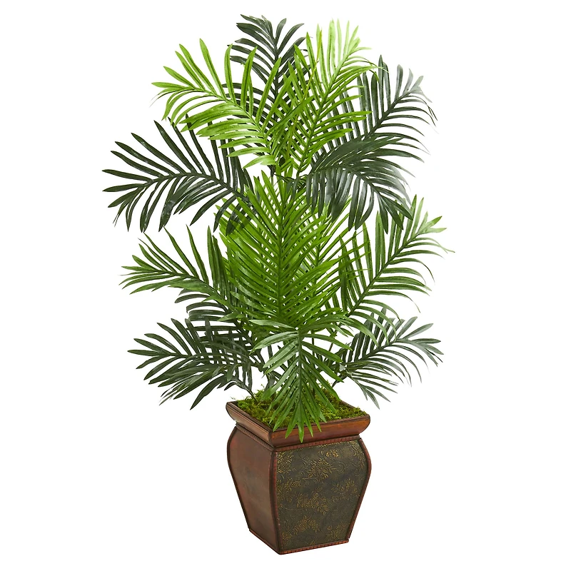 3ft. Paradise Palm Tree with Decorative Planter