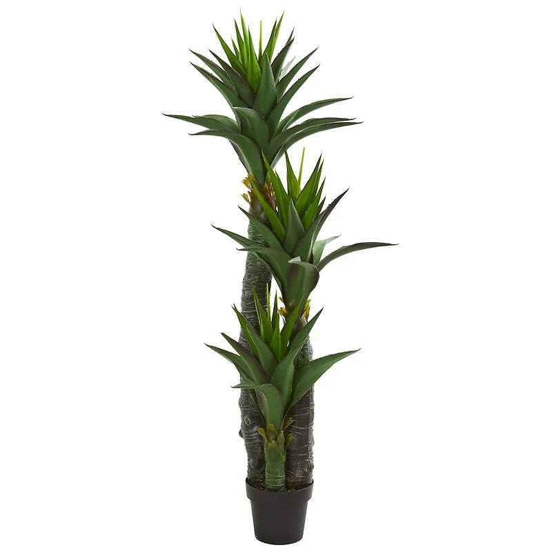 5ft. Potted Triple Stalk Yucca Tree