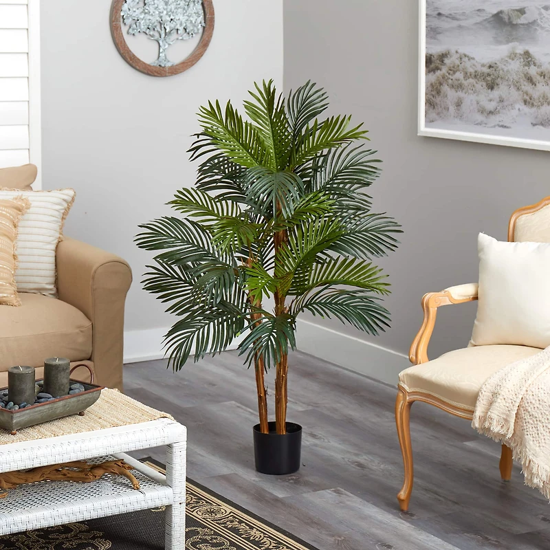 4ft. Potted Date Palm Tree
