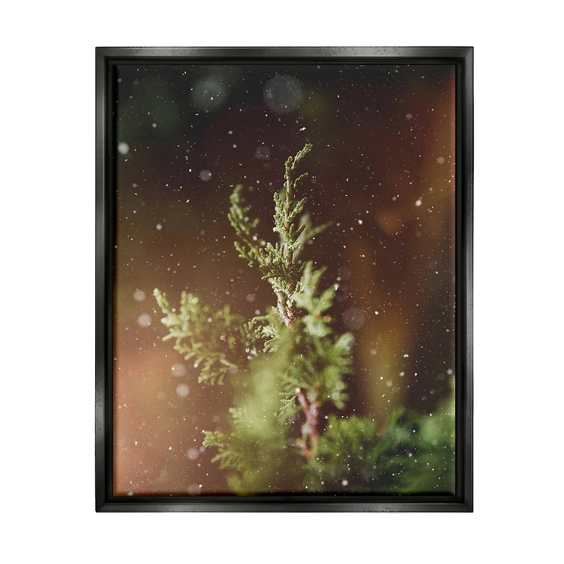 Stupell Industries Winter Snowfall Night Pine Tree Framed Floater Canvas Wall Art