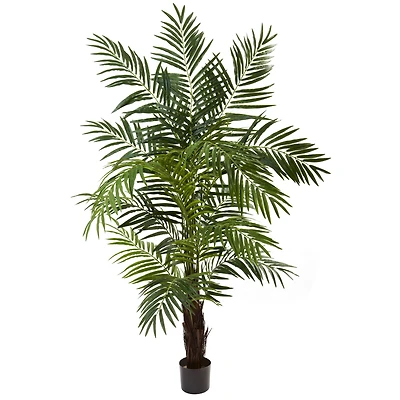 6ft. Potted Green Areca Palm Tree