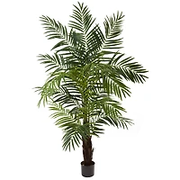 6ft. Potted Green Areca Palm Tree