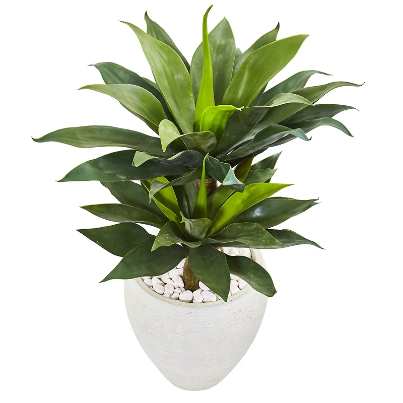 3ft. Double Agave Succulent Plant in White Planter