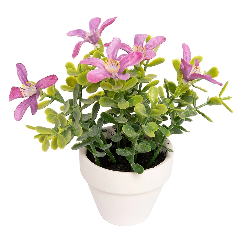 Assorted Micro Premade Flowering Plant, 1pc. by Ashland®