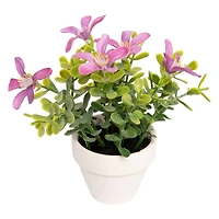 Assorted Micro Premade Flowering Plant, 1pc. by Ashland®