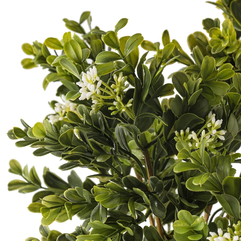 8 Pack: Boxwood & Berry Bush by Ashland®