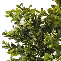 8 Pack: Boxwood & Berry Bush by Ashland®