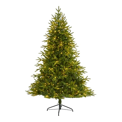 6.5ft. Pre-Lit Colorado Mountain Fir Artificial Christmas Tree, Clear LED Lights
