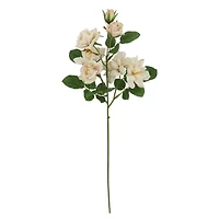 23" Beige Multi Rose Stem by Ashland®