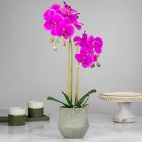 14" Purple Orchid Plant in Gray Stone Pot