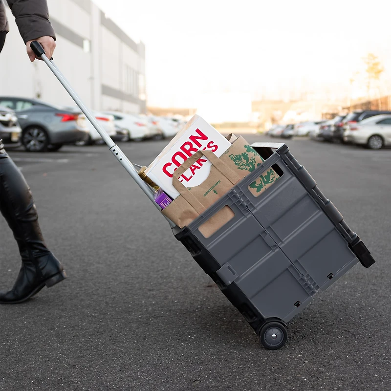 Simplify Jumbo Tote & Go Collapsible Utility Cart