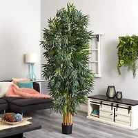7.5ft. Potted Phoenix Palm Tree