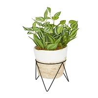 The Novogratz 16" Potted Green Rattan Coastal Artificial Foliage