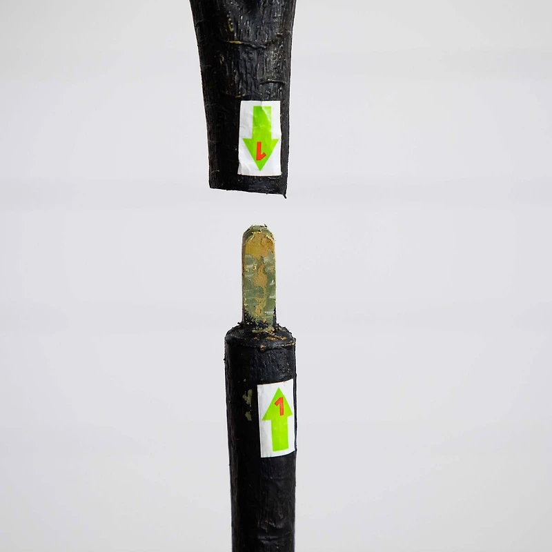 6ft. Bougainvillea Tree with White Decorative Planter