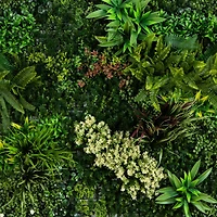 40" Amazon Rainforest Artificial Living Wall Panel