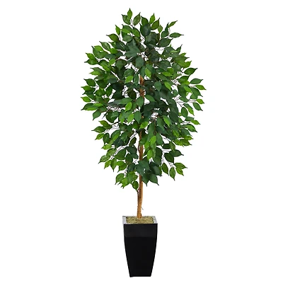 4.5ft. Ficus Tree in Black Metal Planter