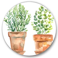 Designart - Two Green House Plants In Orange Flower Pots