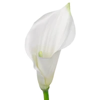 28" White Calla Lily Stem by Ashland®