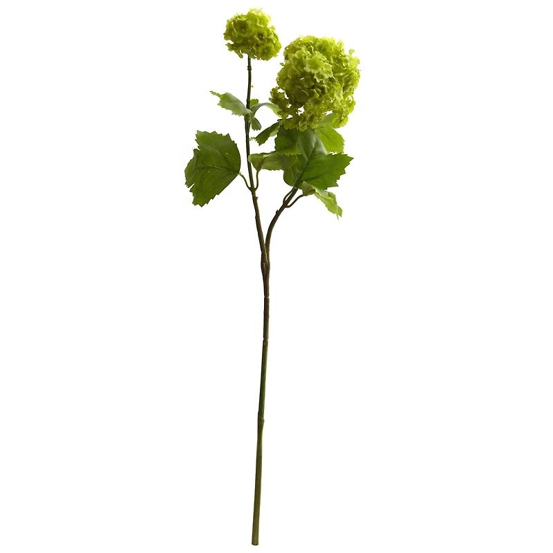 Green Snowball Hydrangea Stem, 6ct.
