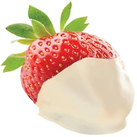 ChocoMaker® Simply Melt™ Vanilla Candy Melts