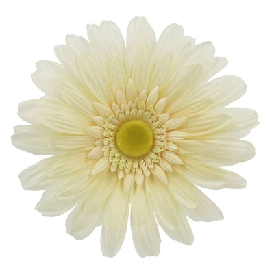 7.5" Daisy Floral Accent by Ashland