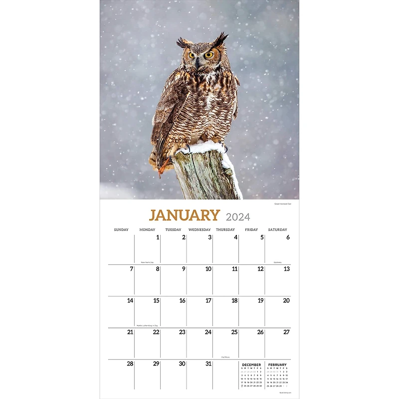 TF Publishing 2024 Owls Wall Calendar