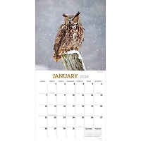 TF Publishing 2024 Owls Wall Calendar