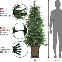 6ft. Pre-Lit Real Touch™️ Oregon Noble Fir Artificial Potted Christmas Tree, Warm Clear LED Lights